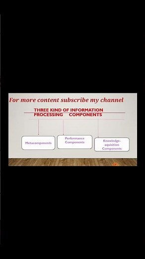 Sternberg's Information Processing Approach