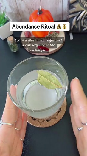 26K views · 695 reactions | #netherlands #thenetherlands...