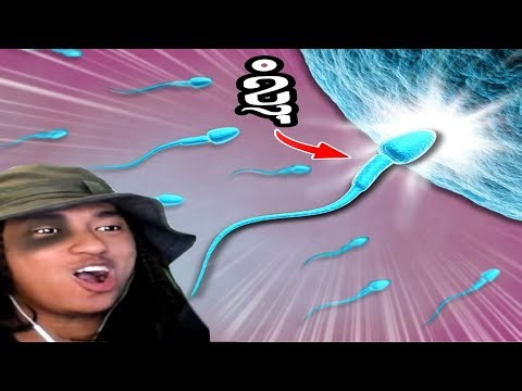 កាលខ្ញុំនៅជា ស្ពែម៉ាតូសូអុីត !!! 🤣 ( ទៅរកអូវុល ) 😲