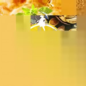 Morton Salt hopes you’ll make the most out of 2024! When you use Morton, don’t forget to tag us in your recipes, favorite dishes, or alternative uses! We can’t wait to see all the things you're creating this year! Happy New Year! #MortonSalt #HappyNewYear #Recipes #FavoriteRecipes | Morton Salt