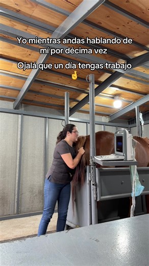 Buenos diaaaaaaaas 🫶#horse #veterinarian #caballos #caballosbailadores #birth #vida #vida #stallion #equino #equino #cowgirl #foal #reproduction