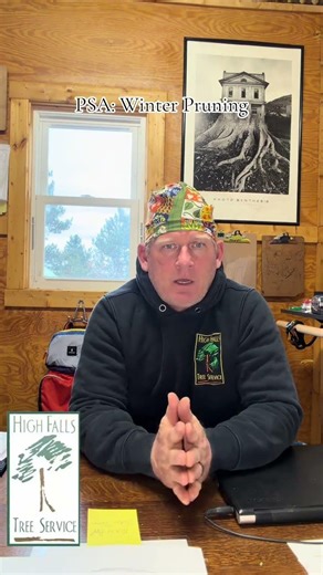 PSA from Prison Mike: Winter Pruning = Good Tree Stuff