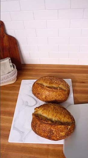 Sourdough Proofing Made Simple with the Folding Proofer