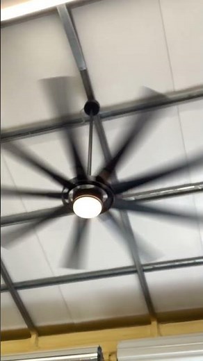Fanimation slinger v2 ceiling fan running on high speed