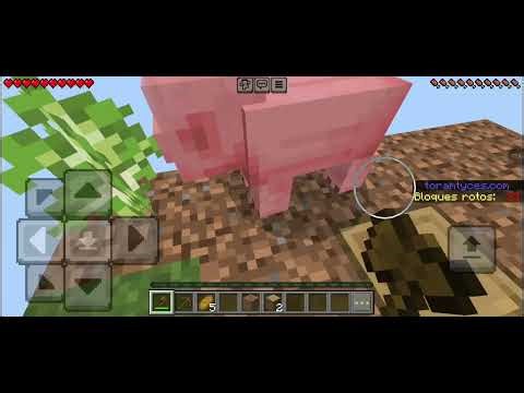 Memulai Awal Perjalanan Panjang di One Block Minecraft!!! || Minecraft One Block #1