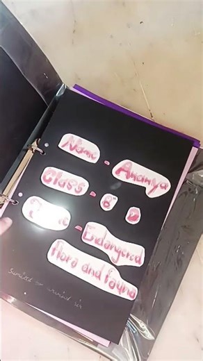 Aesthetic file decoration idea 🦢