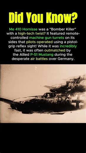 High-Tech "Hornet" of the Luftwaffe 🐝✈️ #WW2 #Planes