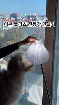 3000원 투자해서 이쁜 전등갓 만들기🎐 #다이소 #전등갓 #diy