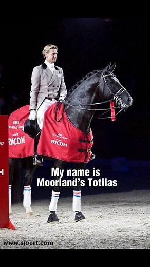 The True Angel 🖤 - A Tribute to Totilas