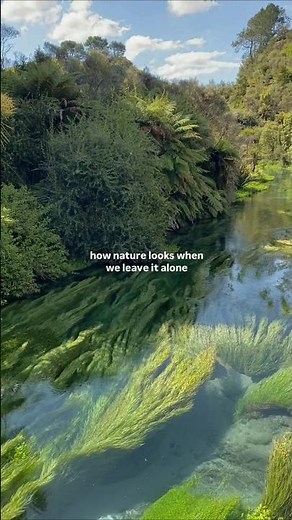 This Is What Happens When Humans Leave Nature Alone 🥰