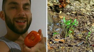 'Naked and Afraid XL' Contestant Poops Out Tomato Seeds to Grow Garden