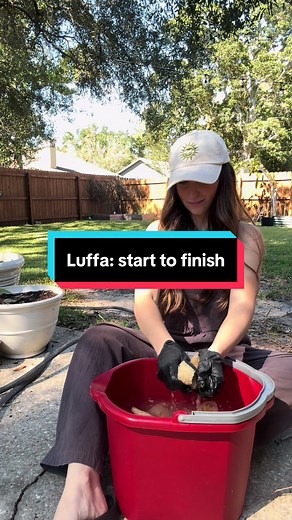 How to Grow Luffa from Seed: A Complete Guide