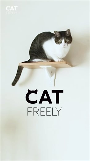 HEIAN SHINDO | 平安伸銅工業 | [COMING 2026] ... 工事不要で手軽に設置できるキャットステップ＆ウォーク 「CAT FREELY(キャットフリーリー)」 ... CAT FREELY は、ここから叶える自由な猫家具です🐈 今回はネコ様にCAT FREELY(キャットフリーリー)... | Instagram