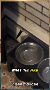 Okay no — this officially crossed into dangerous territory. Get a priest immediately. OC: bearddudee on TikTok (For removal, email auntiematrix@gmail.com) Tag me in weird & creepy TikToks so I can react to them — my TikTok is @tessicavision #auntiematrix #paranormalwarning #haunted #creepyvideo #supernatural #nope | Jessica Castro