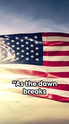 A Tribute to Valor: Honoring Our Veterans on Veterans Day