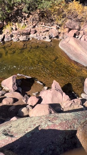 Elena Marquez on Reels | Facebook