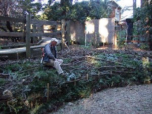 Restoration Projects Get Financial Boost