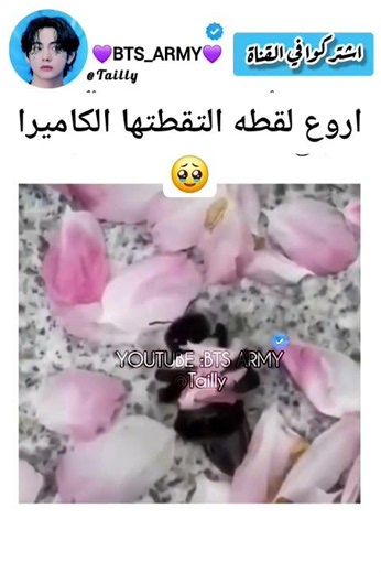 اروع لقطه التقطتها الكاميرا #اكسبلور #ايقنت #bts #bts #اكسبلور