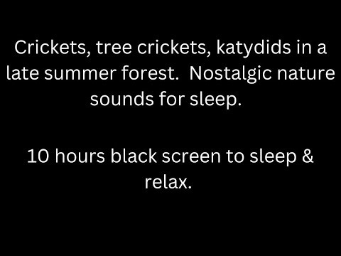 Crickets tree crickets katydids sing in summer forest black screen sleep relax 10 hour cricket sound