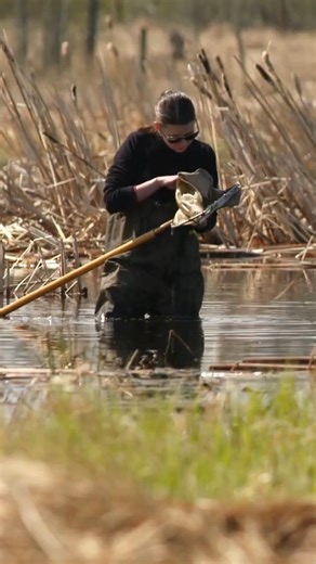 1.7K views · 38 reactions | At Ducks Unlimited Canada, science is in...