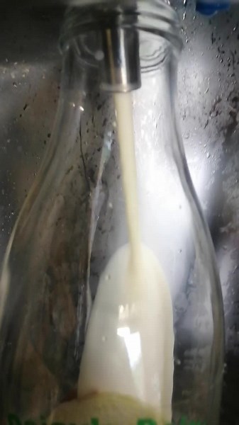 New milkshake flavours for the week! 🍊Chocolate orange 💙Blue bubblegum All our milk is produced by our herd of cows here on the farm, making it fully traceable from moo to you 🐮 And we are fully stocked with local eggs, butter, cheese, chutneys, hot chocolate stirrers and snacks 💚 ⌚6am - 9pm 📌EX14 9AX #supportsmallbusiness #familybusiness #traceability #farmproduce #traceable #autumnonthefarm #devonmilk #blackdownhills #yarcombe #freshmilk #milkvendingmachine #milkshakevendingmachine