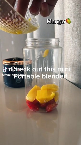 Mini Blenders on TikTok