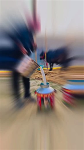 PrayagrajNews Media on Instagram: "सपा नेता संदीप यादव का माघ मेले में दूध वितरण का वीडियो वायरल"