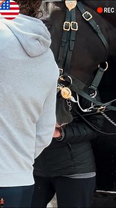 130K views · 1.6K reactions | Danger warning..! horses can bite you, there is a warning sign.. #thekingguard #buckinghampalace #horseguardsparade #royalfamily #fyp #viral #usa #unitedstates #kingguardhorse #fypシ #militarytiktok #thekingguard #foryoupage #viraltiktok #PeterEllis #historiclondon #TravelUK #britishheritage | Peter Ellis guard | Facebook