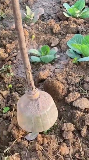 the process of spreading pesticides #shorts