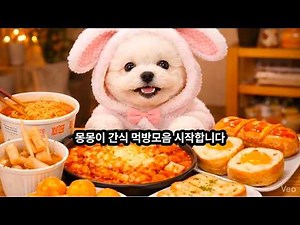 강아지 먹방 ASMR🍗 몽몽이 간식먹방 모음