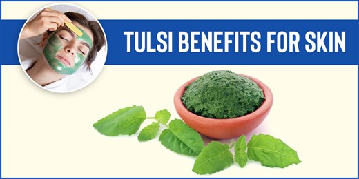 Skincare Benefits Of Tulsi (Holy Basil): How To Use