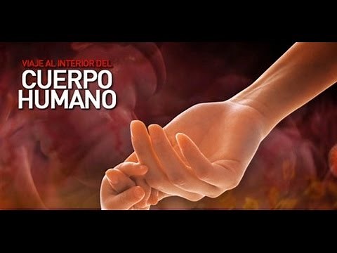 Viaje al Interior del Cuerpo Humano