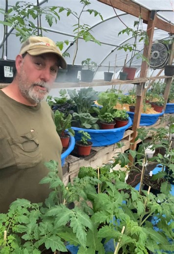 How to Grow Vegetables at Home: Essential Tips