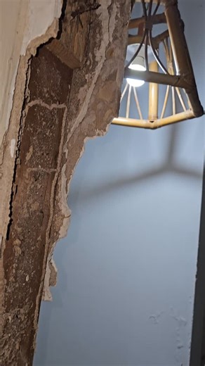 Subterráneo termite service | First Choice Exterminating 787-319-5165