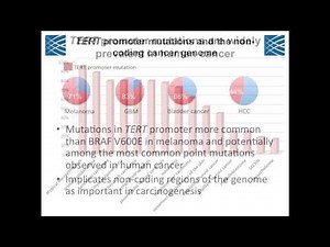 TERT Promoter Mutations in Cancer