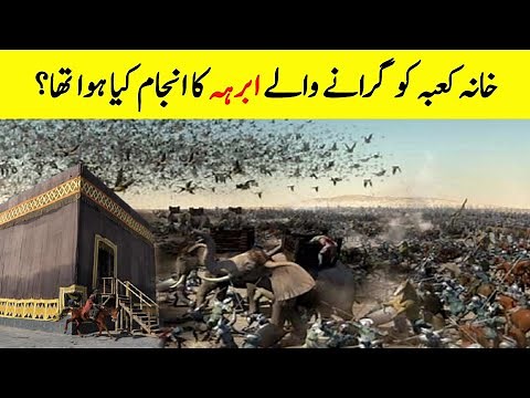 Who Was Abraha? || Why He Attack On Holy Kaaba? || When Ababils Defend Kaaba || Year of the Elephant