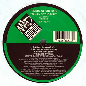 Trends Of Culture - Valley Of The Skinz