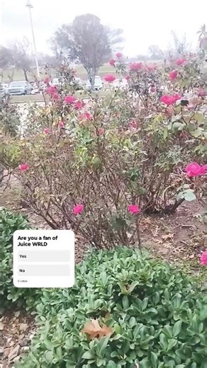 Juice WRLD -Lucid Dreams #rap #music #rappers #fypシ゚viral #shorts #songs #rapper