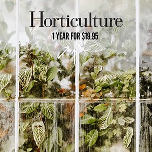 1.6K reactions · 148 shares | Every issue includes in-depth garden features, DIY design solutions, plants for every situation, ornamental and edible gardening tips and more! | Horticulture: The Art & Science of Smart Gardening | Facebook