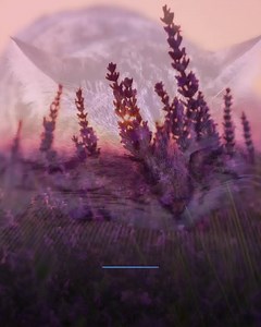 686 reactions · 80 shares | Learn life-changing skills that can help you manage feelings of anxiety, stress, and worry. Try Calm for free. | Calm | Facebook