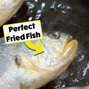 53K views · 156 reactions | Juiciest big kraken squid on the grill | Cooking Wild | Facebook