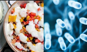 Qué es la microbiota, su función en la salud y cómo mantenerla sana