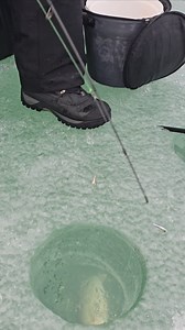 Mega live 2 in action with a donkey walleye. How big do you think it is? | Bigwater Fishing