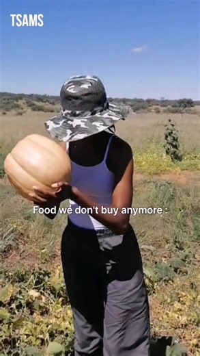 If you needed a sign to start farming… this is it 😑 #farming #namibia #dairyfarming #garden