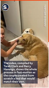 411K views · 36K reactions | This pup loves her new "floating" bed! | storyful | Facebook