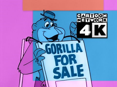 CN Groovies - Gorilla 4 Sale (4K 60fps)