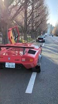 冬枯れの神宮外苑とカウンタック #カウンタック #神宮外苑
