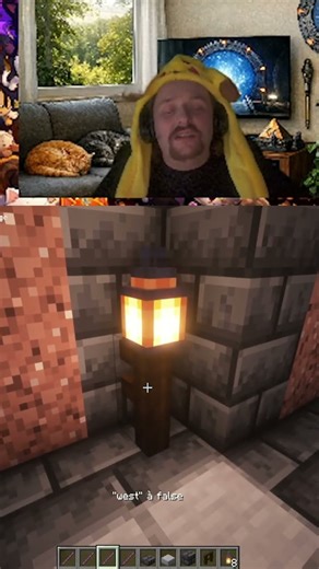 the voice ou pas pour la prestation????? | #fan_dechat sur #Twitch #minecraft #chanson #lol #thevo