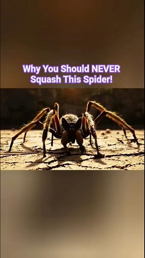 Why You Should NEVER Squash This Spider! #uniquefacts #informative