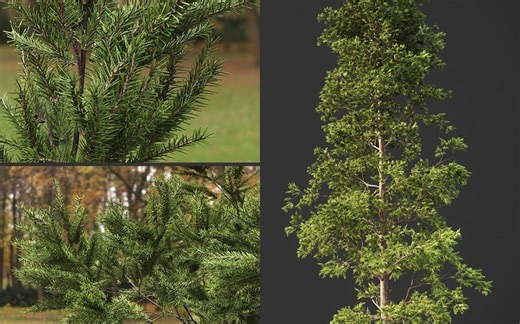 FStorm GeoPattern教程-松树